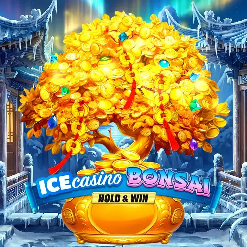 Bonus Angebote